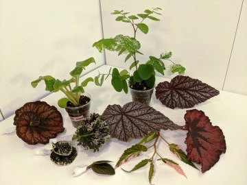 Заказ Овчинникова 12092021 4